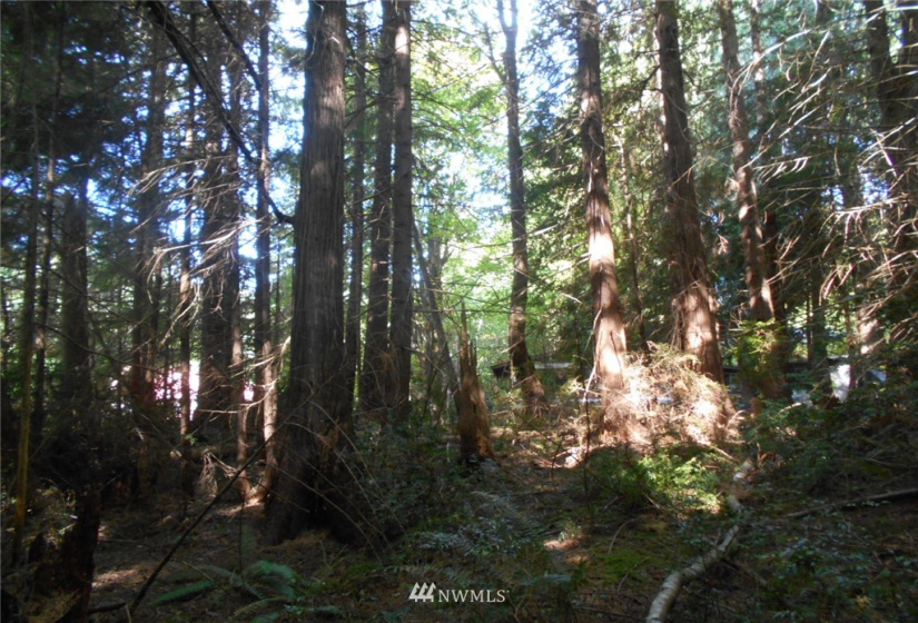 0 Cirque, Brinnon, Washington 98320, ,Land,For Sale,Seamount Estates, Division 4,Cirque,NWM1834582
