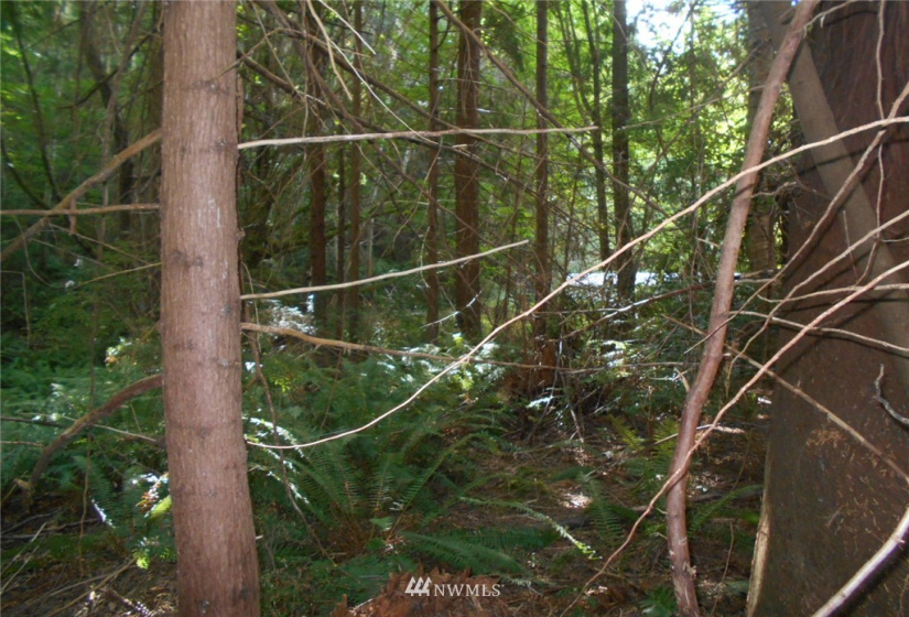 0 Cirque, Brinnon, Washington 98320, ,Land,For Sale,Seamount Estates, Division 4,Cirque,NWM1834582