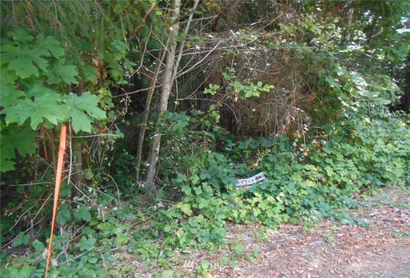0 Cirque, Brinnon, Washington 98320, ,Land,For Sale,Seamount Estates, Division 4,Cirque,NWM1834582