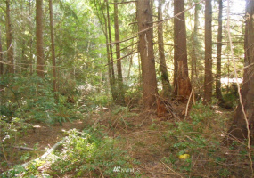 0 Cirque, Brinnon, Washington 98320, ,Land,For Sale,Seamount Estates, Division 4,Cirque,NWM1834582