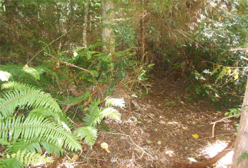 0 Cirque, Brinnon, Washington 98320, ,Land,For Sale,Seamount Estates, Division 4,Cirque,NWM1834582