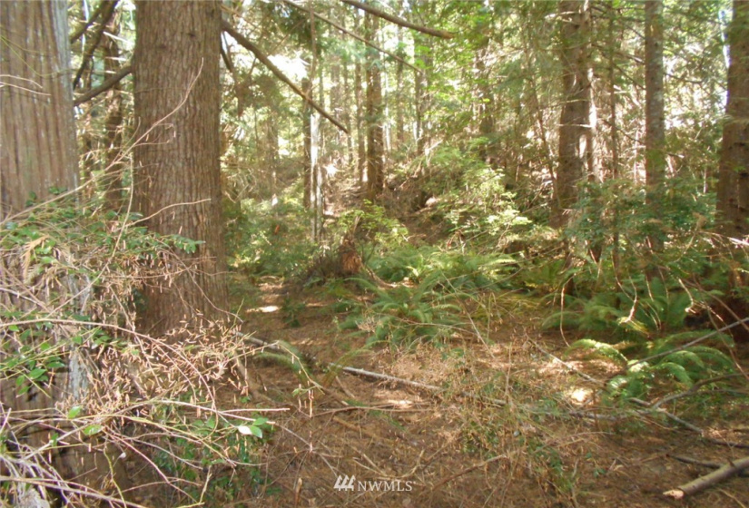0 Cirque, Brinnon, Washington 98320, ,Land,For Sale,Seamount Estates, Division 4,Cirque,NWM1834582