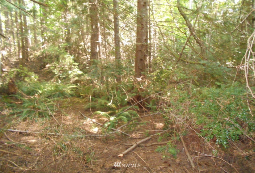 0 Cirque, Brinnon, Washington 98320, ,Land,For Sale,Seamount Estates, Division 4,Cirque,NWM1834582