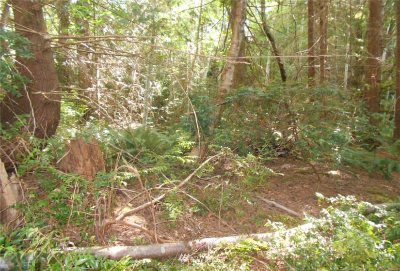 0 Cirque, Brinnon, Washington 98320, ,Land,For Sale,Seamount Estates, Division 4,Cirque,NWM1834582