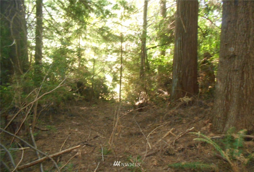 0 Cirque, Brinnon, Washington 98320, ,Land,For Sale,Seamount Estates, Division 4,Cirque,NWM1834582