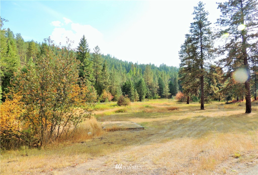 17320 Hwy 21, Malo, Washington 99150, 3 Bedrooms Bedrooms, ,3 BathroomsBathrooms,Residential,For Sale,Hwy 21,NWM1835045
