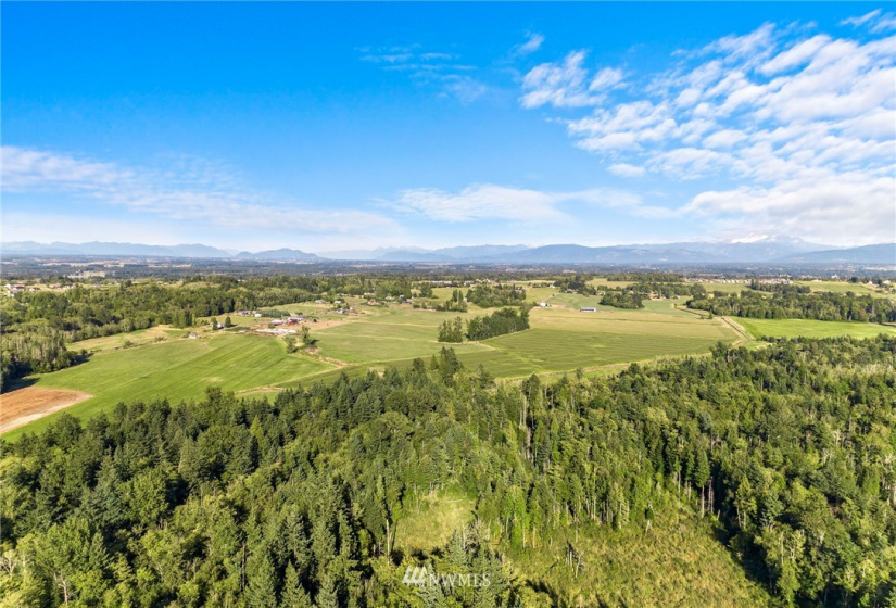 6379 Elder, Ferndale, Washington 98248, 3 Bedrooms Bedrooms, ,4 BathroomsBathrooms,Residential,For Sale,Elder,NWM1834898