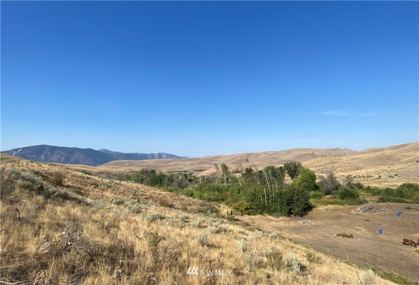 20762 Highway 20, Twisp, Washington 98856, ,Land,For Sale,Highway 20,NWM1834132