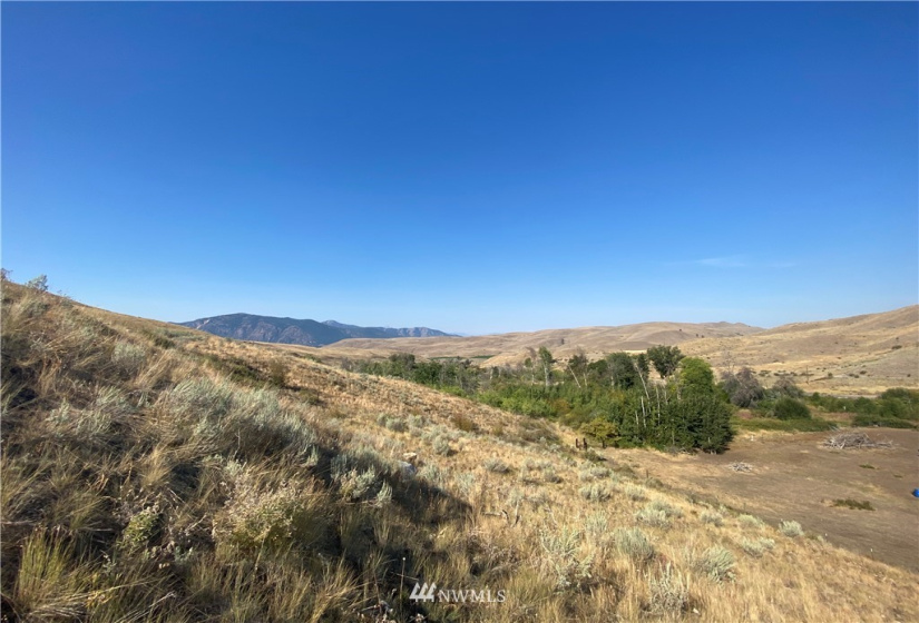 20762 Highway 20, Twisp, Washington 98856, ,Land,For Sale,Highway 20,NWM1834132