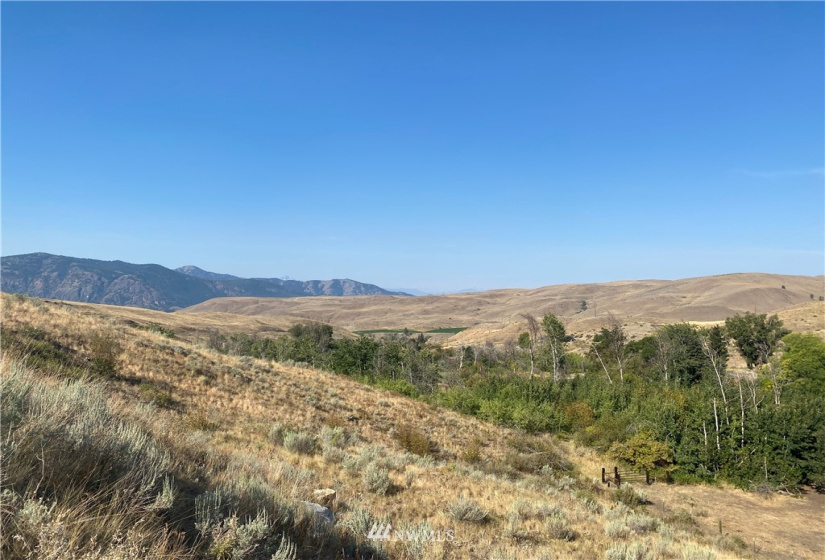 20762 Highway 20, Twisp, Washington 98856, ,Land,For Sale,Highway 20,NWM1834132