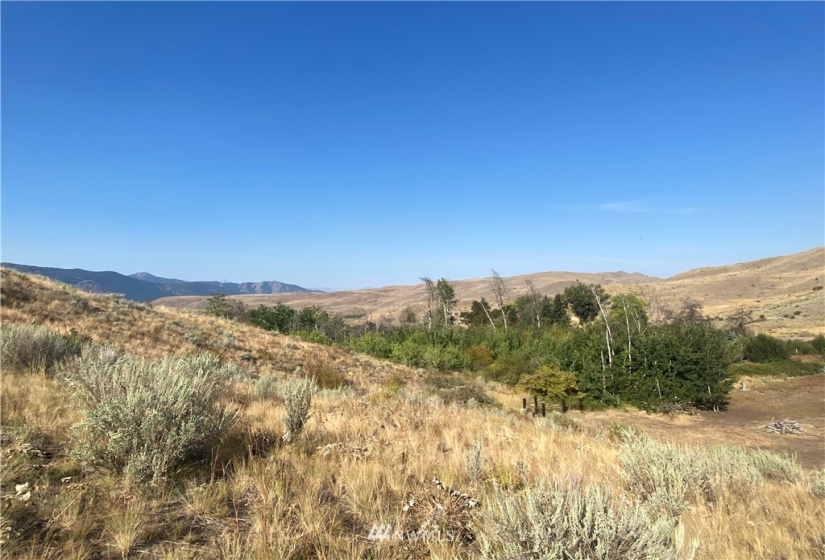 20762 Highway 20, Twisp, Washington 98856, ,Land,For Sale,Highway 20,NWM1834132