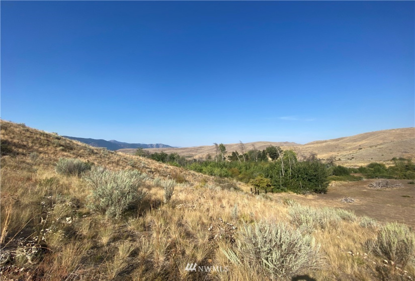 20762 Highway 20, Twisp, Washington 98856, ,Land,For Sale,Highway 20,NWM1834132