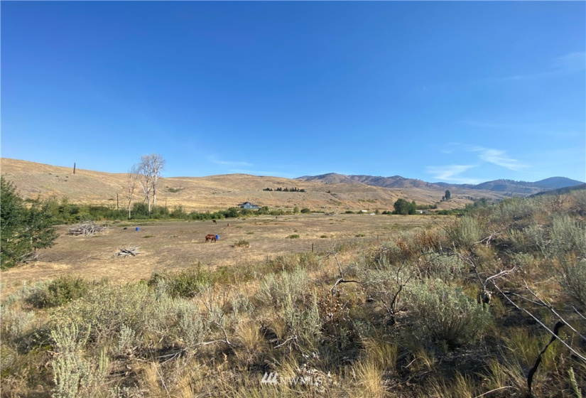 20762 Highway 20, Twisp, Washington 98856, ,Land,For Sale,Highway 20,NWM1834132