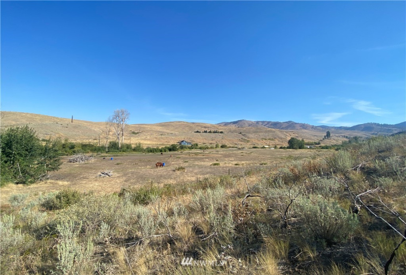 20762 Highway 20, Twisp, Washington 98856, ,Land,For Sale,Highway 20,NWM1834132