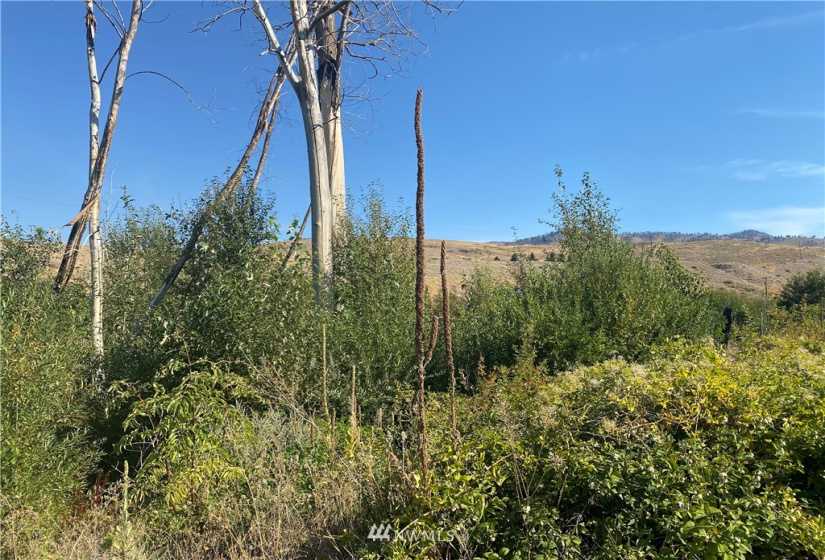 20762 Highway 20, Twisp, Washington 98856, ,Land,For Sale,Highway 20,NWM1834132