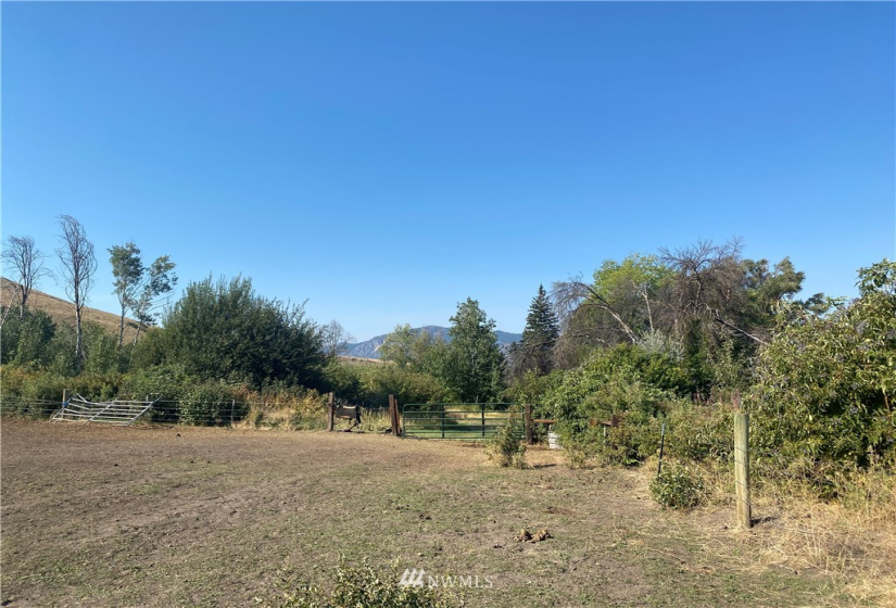 20762 Highway 20, Twisp, Washington 98856, ,Land,For Sale,Highway 20,NWM1834132