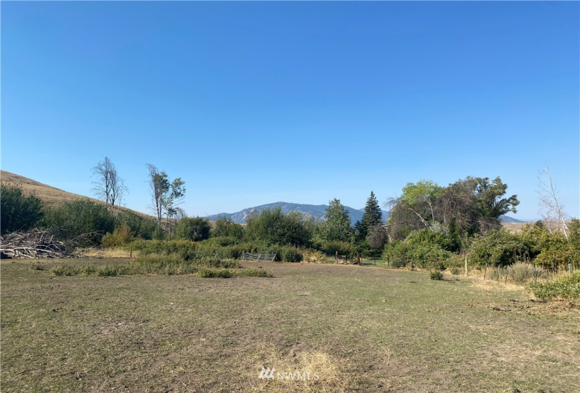 20762 Highway 20, Twisp, Washington 98856, ,Land,For Sale,Highway 20,NWM1834132