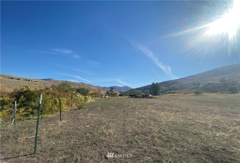 20762 Highway 20, Twisp, Washington 98856, ,Land,For Sale,Highway 20,NWM1834132