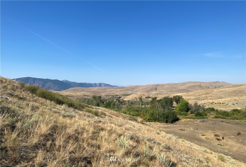 20762 Highway 20, Twisp, Washington 98856, ,Land,For Sale,Highway 20,NWM1834132