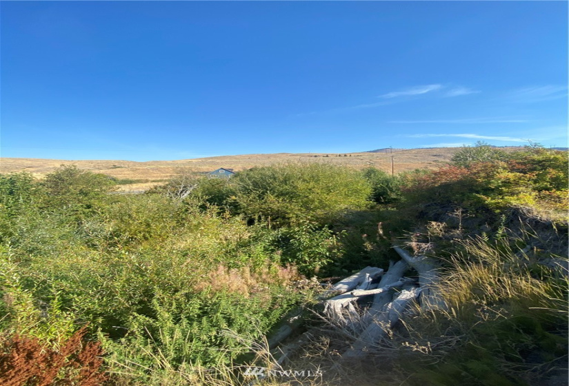 20762 Highway 20, Twisp, Washington 98856, ,Land,For Sale,Highway 20,NWM1834132