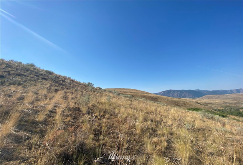 20762 Highway 20, Twisp, Washington 98856, ,Land,For Sale,Highway 20,NWM1834132