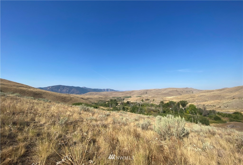 20762 Highway 20, Twisp, Washington 98856, ,Land,For Sale,Highway 20,NWM1834132