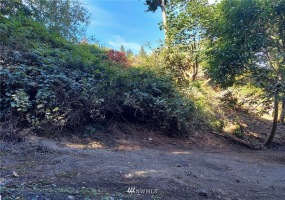 116 A Port Susan Dr, Hat Island, Washington 98206, ,Land,For Sale,A Port Susan Dr,NWM1832516