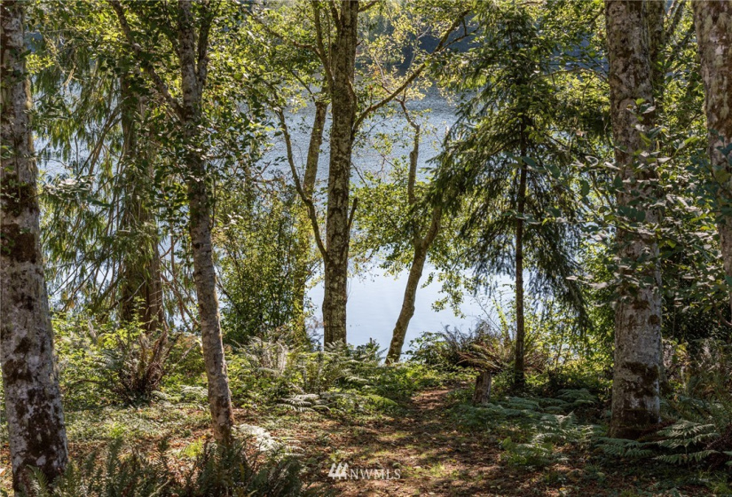 889 Snow Creek, Quilcene, Washington 98376, 3 Bedrooms Bedrooms, ,2 BathroomsBathrooms,Residential,For Sale,Snow Creek,NWM1831883