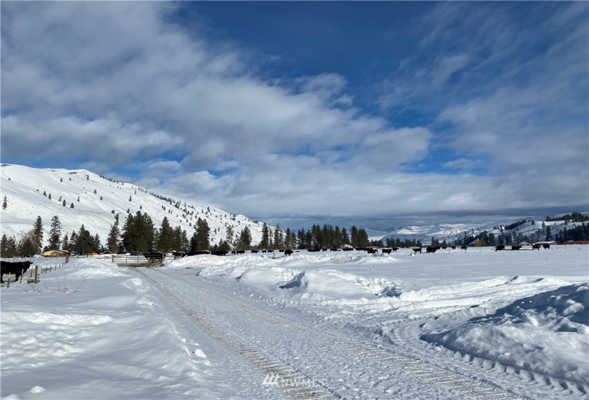 21 Old Carlton Road, Carlton, Washington 98814, ,Land,For Sale,Old Carlton Road,NWM1835803