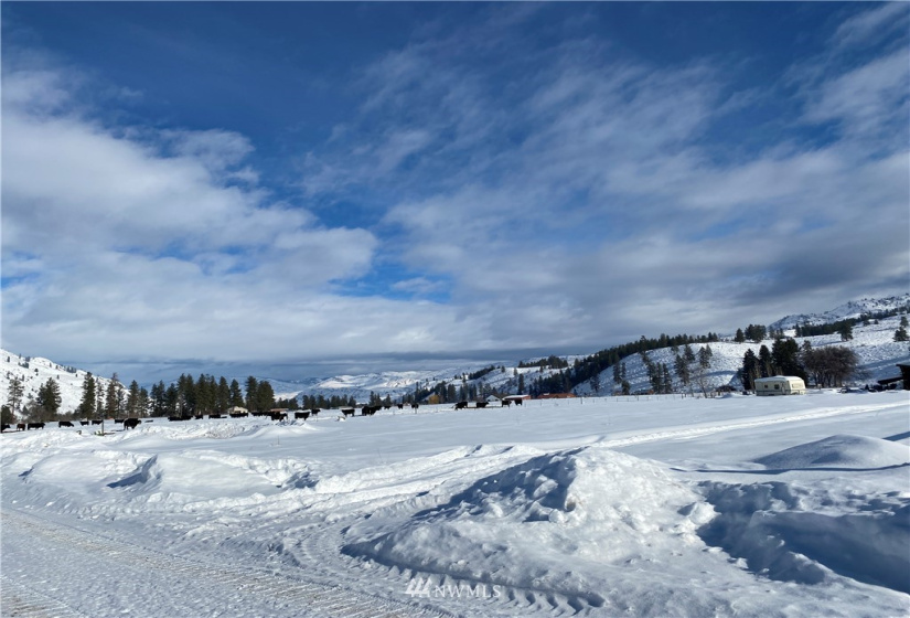 21 Old Carlton Road, Carlton, Washington 98814, ,Land,For Sale,Old Carlton Road,NWM1835803