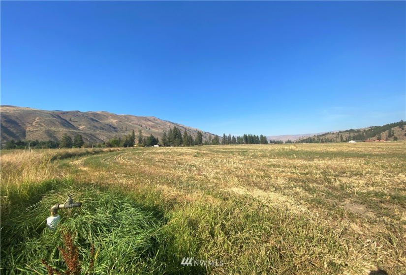 21 Old Carlton Road, Carlton, Washington 98814, ,Land,For Sale,Old Carlton Road,NWM1835803