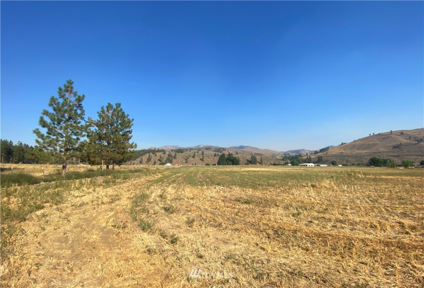 21 Old Carlton Road, Carlton, Washington 98814, ,Land,For Sale,Old Carlton Road,NWM1835803