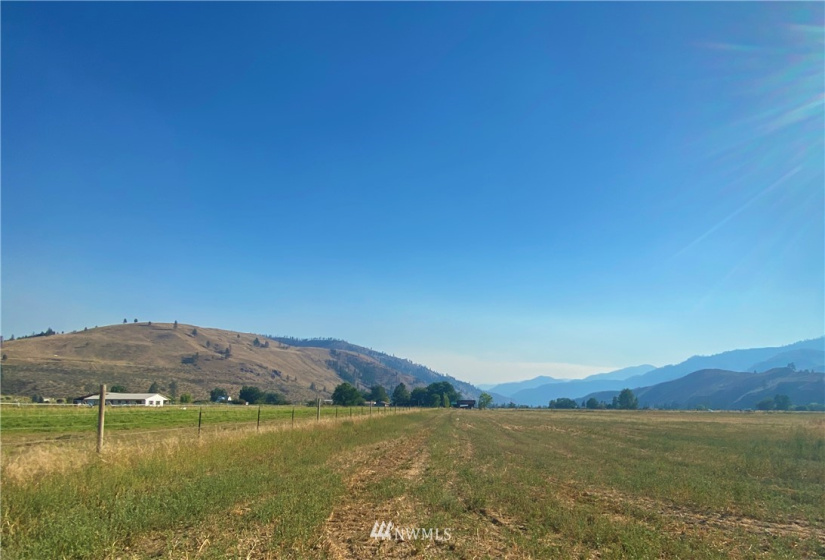 21 Old Carlton Road, Carlton, Washington 98814, ,Land,For Sale,Old Carlton Road,NWM1835803
