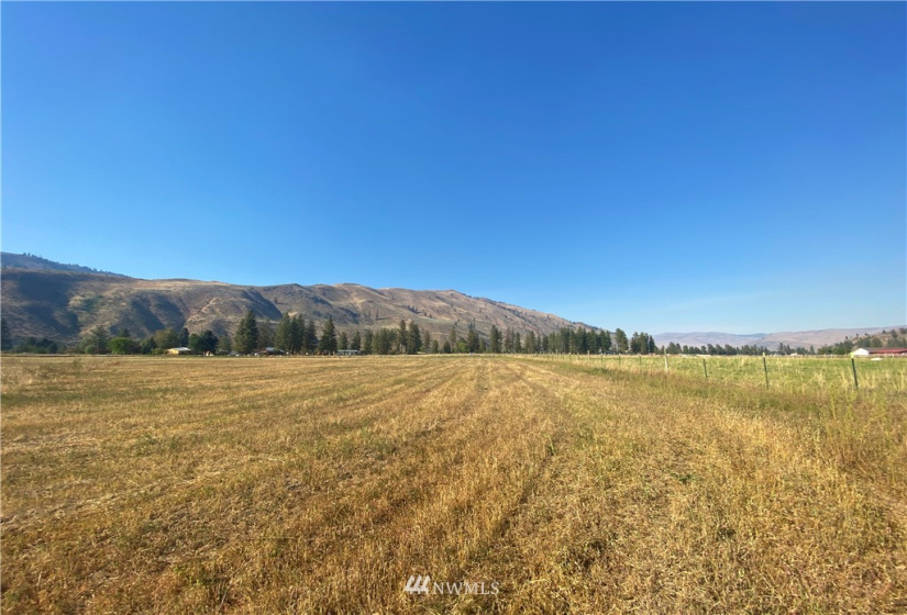 21 Old Carlton Road, Carlton, Washington 98814, ,Land,For Sale,Old Carlton Road,NWM1835803