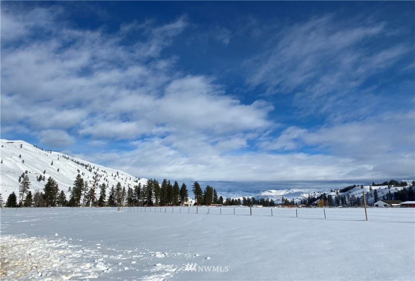 21 Old Carlton Road, Carlton, Washington 98814, ,Land,For Sale,Old Carlton Road,NWM1835803