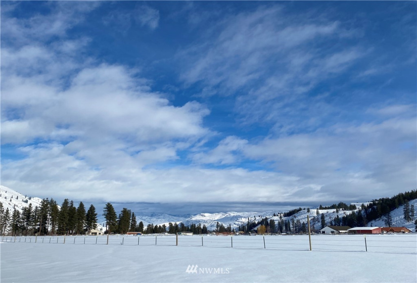 21 Old Carlton Road, Carlton, Washington 98814, ,Land,For Sale,Old Carlton Road,NWM1835803