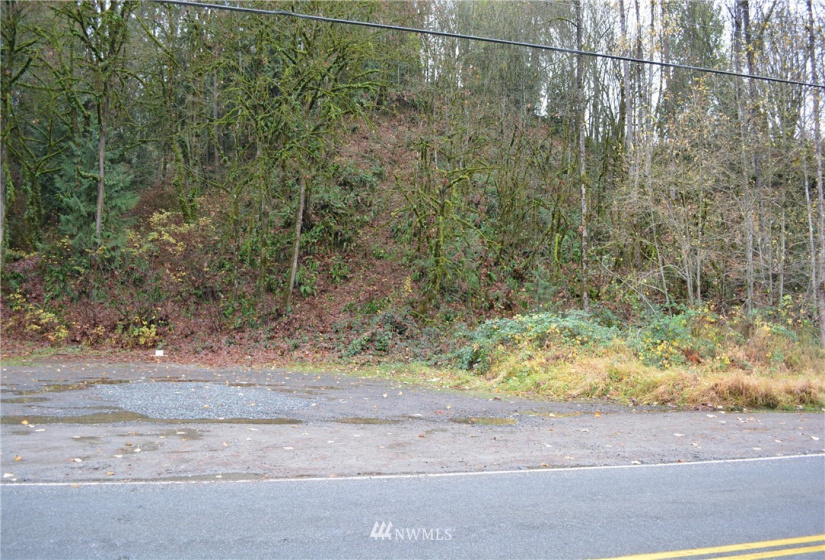 21318 High Bridge, Monroe, Washington 98272, ,Land,For Sale,High Bridge,NWM1832489