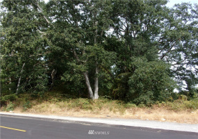 7911 146th, Lakewood, Washington 98439, ,Land,For Sale,146th,NWM1836088