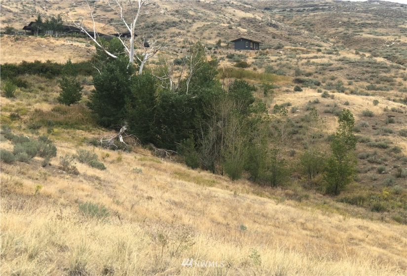 355 Plata Rd., Brewster, Washington 98812, ,Land,For Sale,Silver Spur,Plata Rd.,NWM1833698