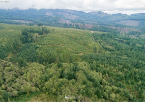 2 Jones Creek, Camas, Washington 98607, ,Land,For Sale,Jones Creek,NWM1835999