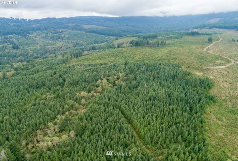 3 Jones Creek, Camas, Washington 98601, ,Land,For Sale,Jones Creek,NWM1836262