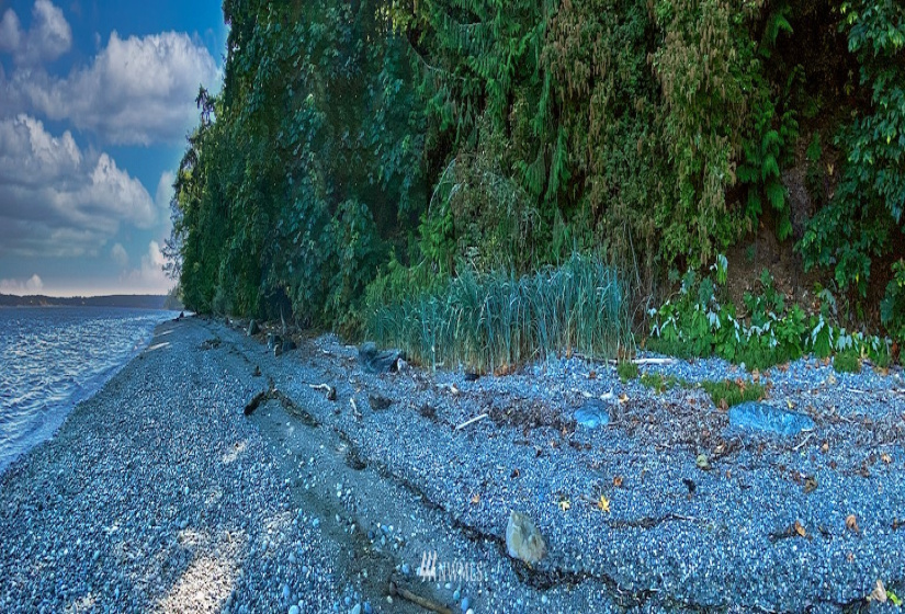 25 xx Old Gardiner, Gardiner, Washington 98382, ,Land,For Sale,Riviera II,Old Gardiner,NWM1830434