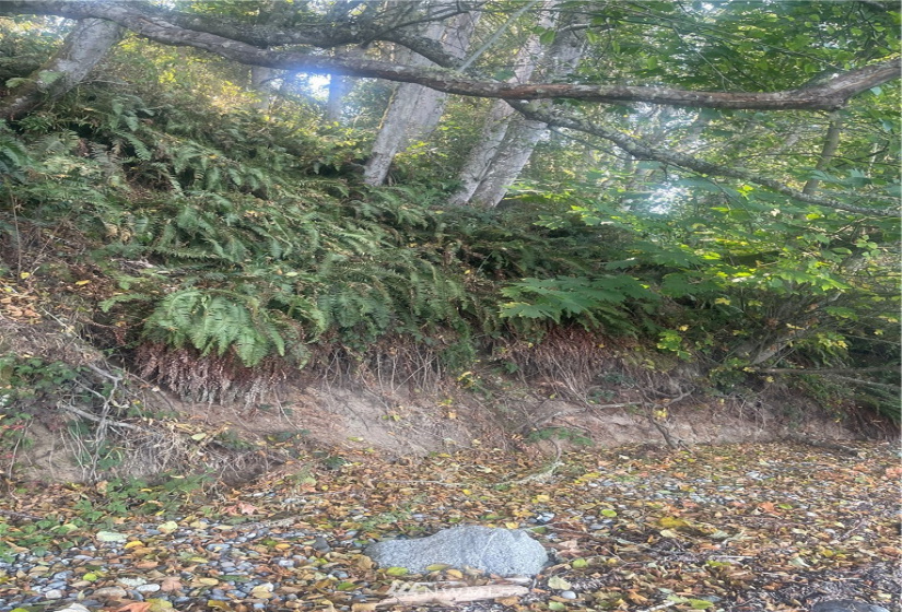 25 xx Old Gardiner, Gardiner, Washington 98382, ,Land,For Sale,Riviera II,Old Gardiner,NWM1830434