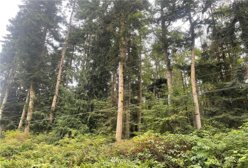 25 xx Old Gardiner, Gardiner, Washington 98382, ,Land,For Sale,Riviera II,Old Gardiner,NWM1830434