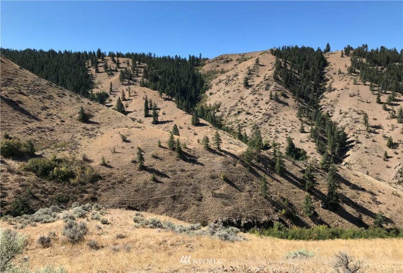 3 Lot Tyee View Loop, East Wenatchee, Washington 98843, ,Land,For Sale,Tyee View Loop,NWM1836600
