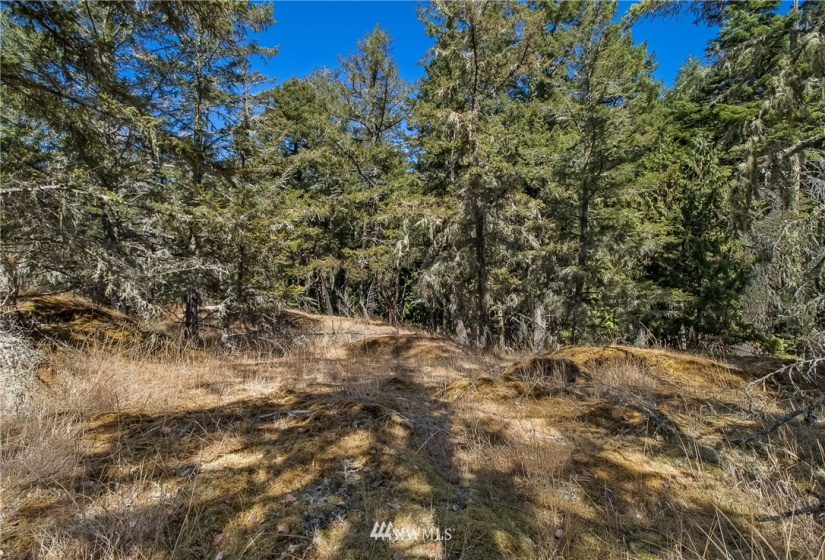 2 Lot Lazy, Friday Harbor, Washington 98250, ,Land,For Sale,Carefree Heights,Lazy,NWM1835945