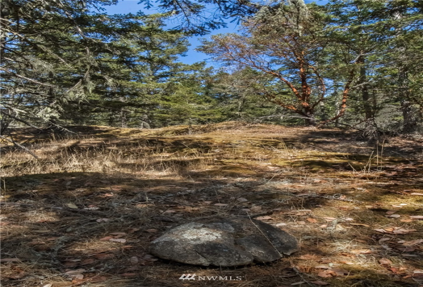 2 Lot Lazy, Friday Harbor, Washington 98250, ,Land,For Sale,Carefree Heights,Lazy,NWM1835945