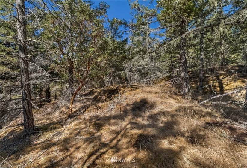2 Lot Lazy, Friday Harbor, Washington 98250, ,Land,For Sale,Carefree Heights,Lazy,NWM1835945
