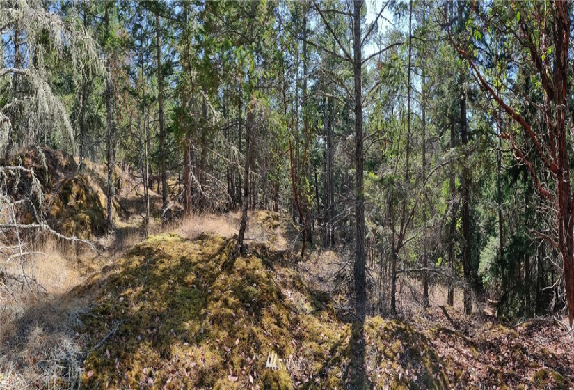 2 Lot Lazy, Friday Harbor, Washington 98250, ,Land,For Sale,Carefree Heights,Lazy,NWM1835945