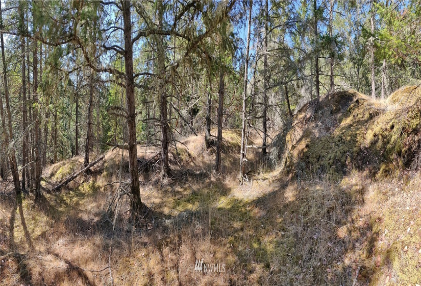 2 Lot Lazy, Friday Harbor, Washington 98250, ,Land,For Sale,Carefree Heights,Lazy,NWM1835945